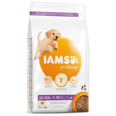 IAMS Dog Puppy Large Csirke 3kg