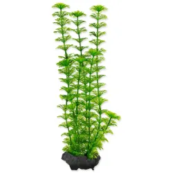 Dekoráció Tetra Növény Ambulia M 23cm