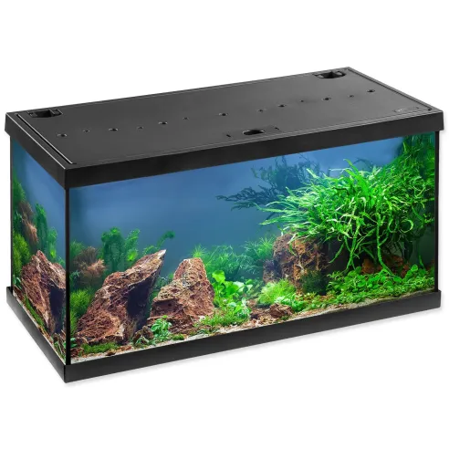 Akvarijný set Eheim Aquastar LED čierny 60x33x33 54l