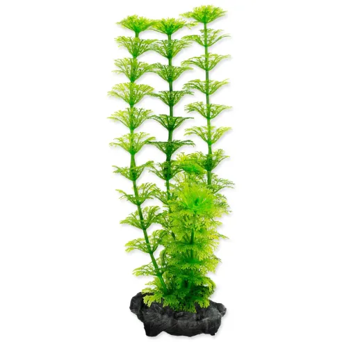 Dekoráció Tetra Növény Ambulia S 15cm