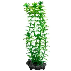 Dekoráció Tetra Növény Anacharis S 15cm