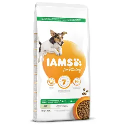 IAMS Dog Adult Small & Medium Bárány 12kg