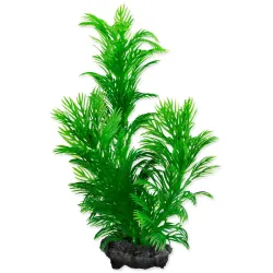 Dekorációs Tetra Növény Green Cabomba S 15cm