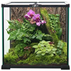 Repti Planet üveg terrárium 20x20x20cm