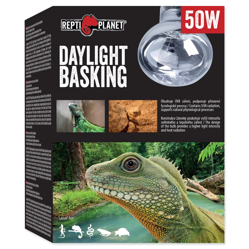 Repti Planet Daylight Basking Spot 50W izzó