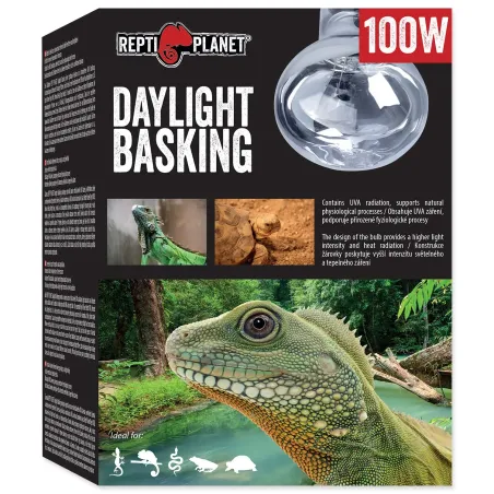Repti Planet Daylight Basking Spot 100W izzó
