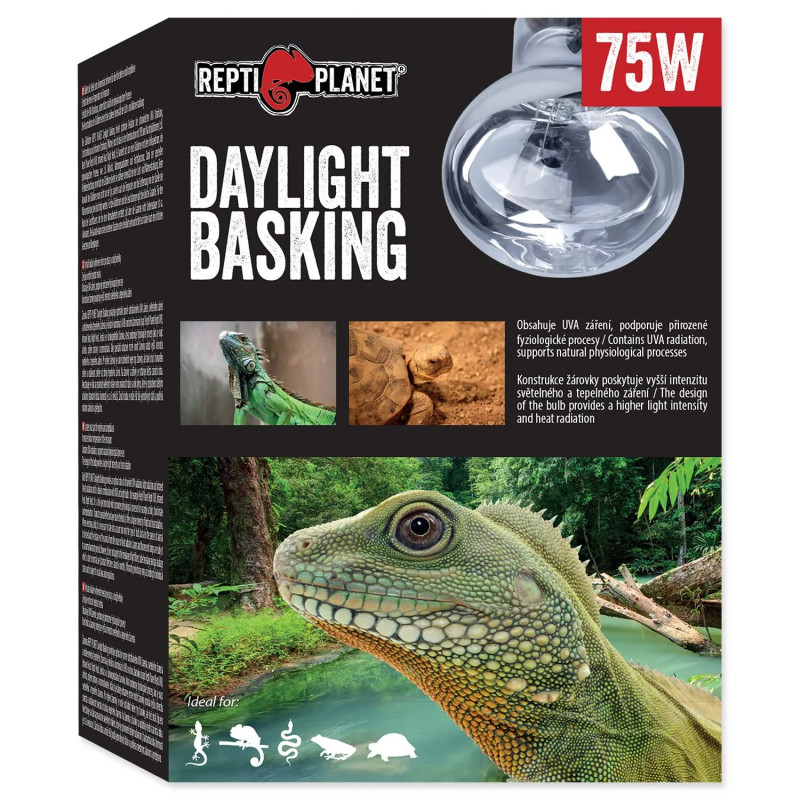 Repti Planet Daylight Basking Spot 75W izzó