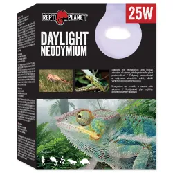 Repti Planet Daylight Neodymium 25W izzó