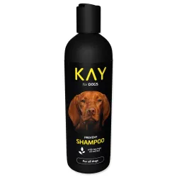 KAY sampon teafaolajjal 250ml