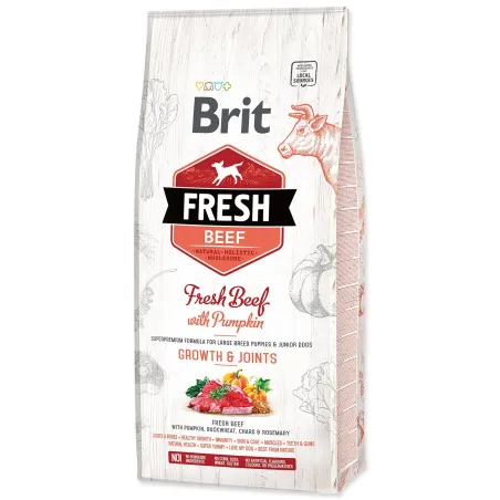 Krmivo Brit Fresh Beef with Pumpkin Puppy Large 12kg