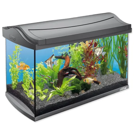 Akvarijný set Tetra Aqua Art LED antracit 57x30x35cm 60l