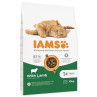 IAMS Cat Adult Lamb 10kg állateledel