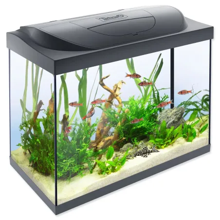 Akvárium szett Tetra Starter Line LED 61x32x51cm 80l