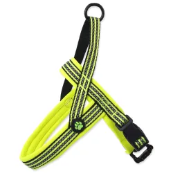 Active Dog Neoprene S lime 1,5x45-55cm hám