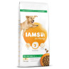 IAMS Dog Adult Large Chicken 12kg kutyaeledel