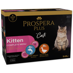 Prospera Plus Kitten alutasakos eledel, 12 x 85 g