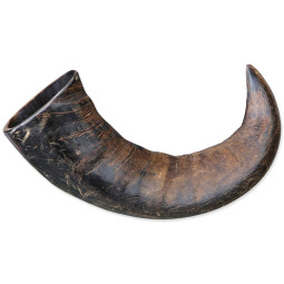 Žuvací roh Genuine buffalo veľký
