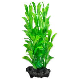 Dekoráció Tetra Növény Hygrophila S 15cm