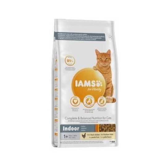 IAMS Cat Adult/Senior Indoor Csirke 10kg