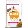IAMS Cat Senior Csirke 10kg macskaeledel