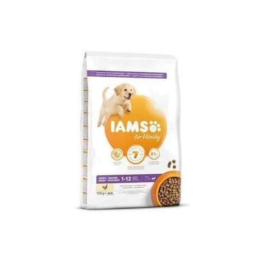 IAMS Dog Puppy Large Csirke 12kg