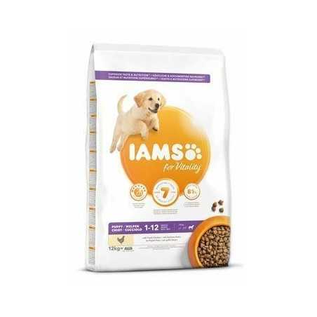 IAMS Dog Puppy Large Csirke 12kg