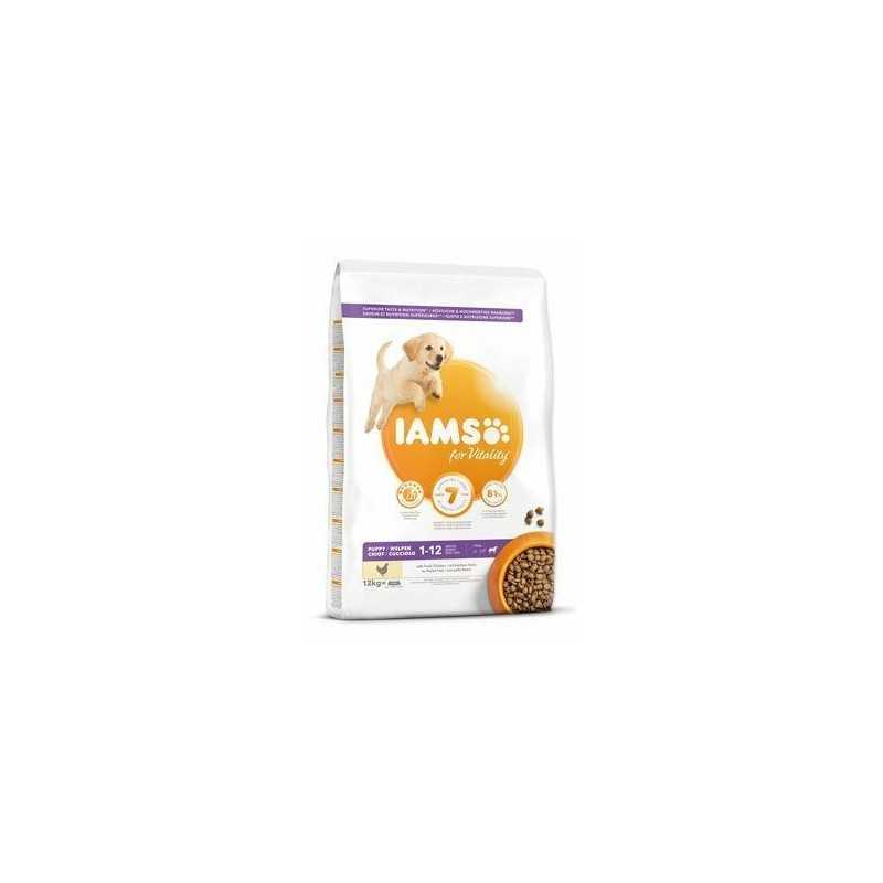 IAMS Dog Puppy Large Csirke 12kg