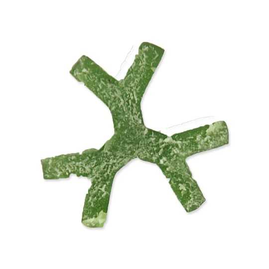 Dentosaurus rágópálca klorofillal S 10cm 160db