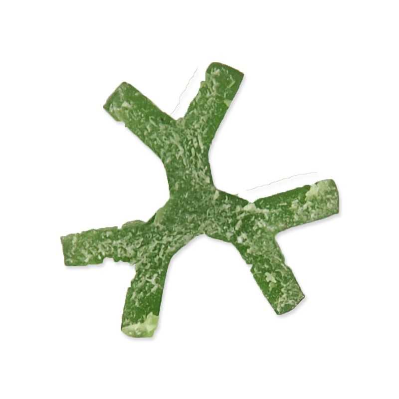 Dentosaurus rágópálca klorofillal S 10cm 160db