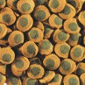 Tetra Pleco Spirulina Wafers eledel tasak 15g