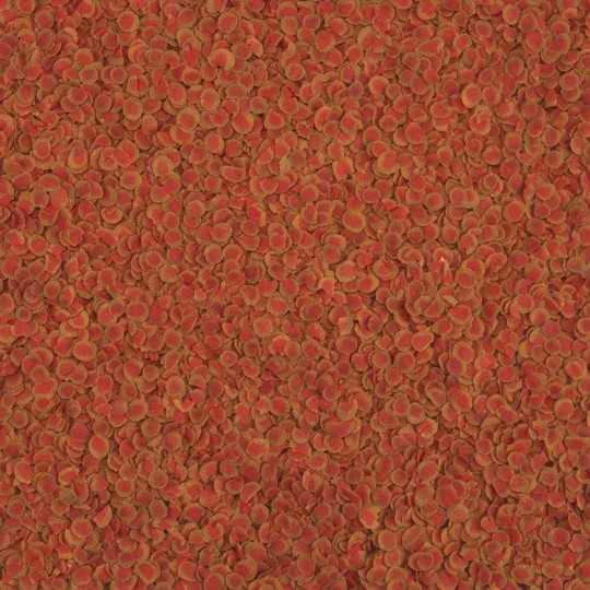 Tetra Pro Colour táp tasak 12g