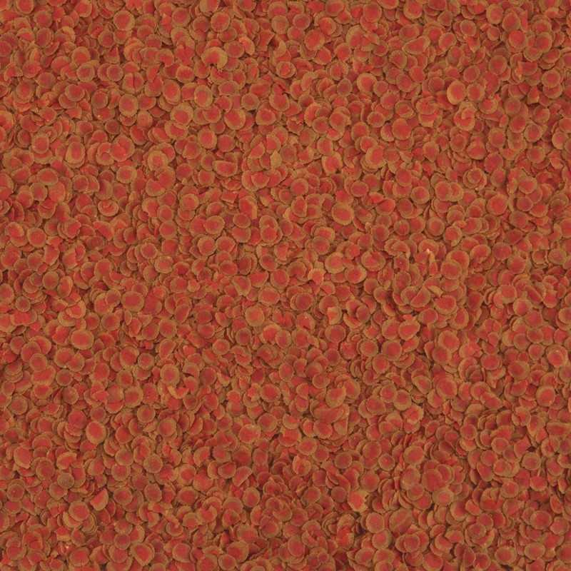 Tetra Pro Colour táp tasak 12g