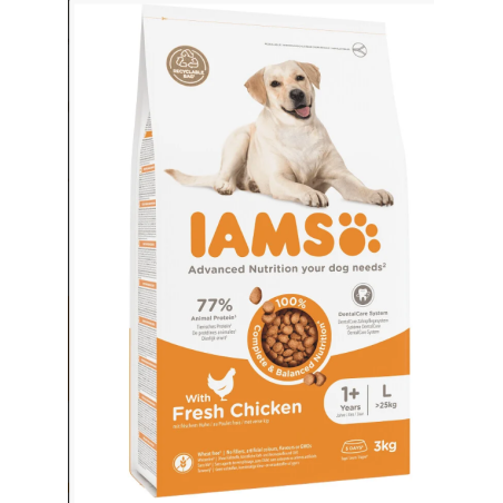 IAMS Dog Adult Large Chicken 3kg kutyatáp