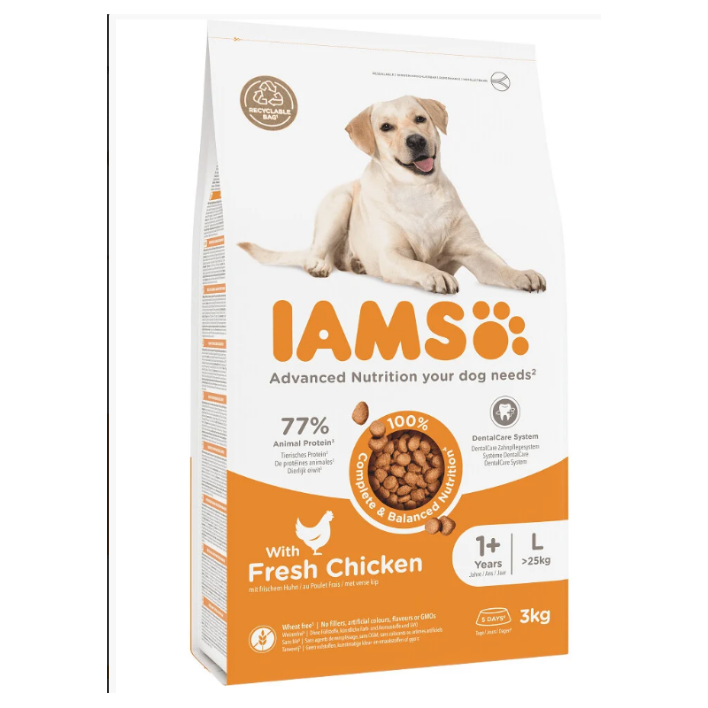 IAMS Dog Adult Large Chicken 3kg kutyatáp