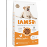 IAMS Dog Adult Large Chicken 3kg kutyatáp