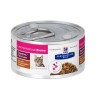 HILLS Diet Feline GI BIOME Stew csirke, zöldség konzerv 82 g