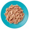 Applaws konzerv macskatonhal 70g