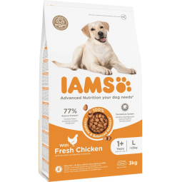 IAMS Dog Adult Large Chicken 3kg kutyatáp
