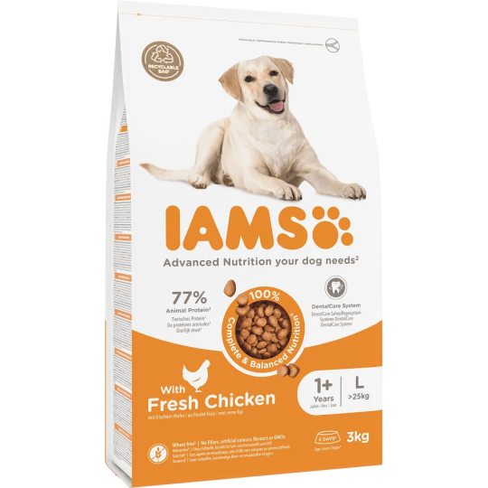 IAMS Dog Adult Large Chicken 3kg kutyatáp