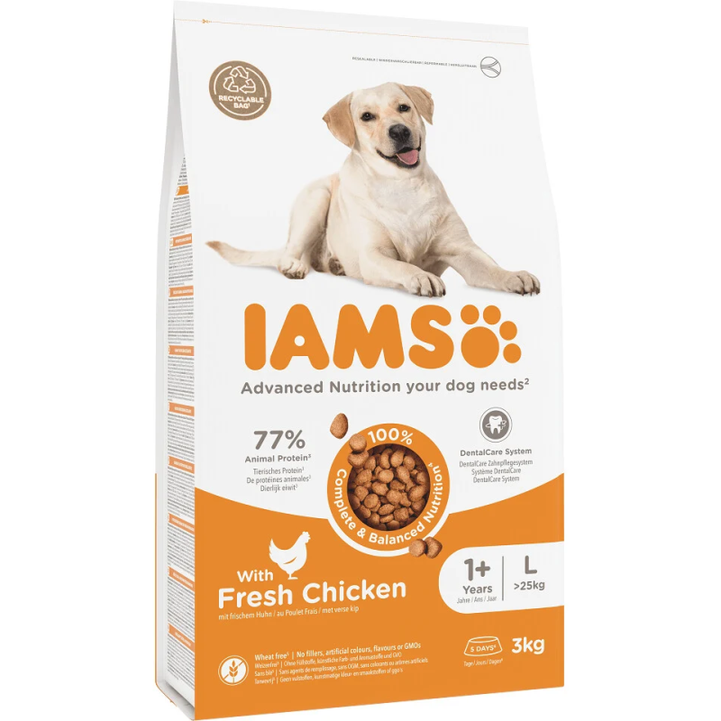 IAMS Dog Adult Large Chicken 3kg kutyatáp