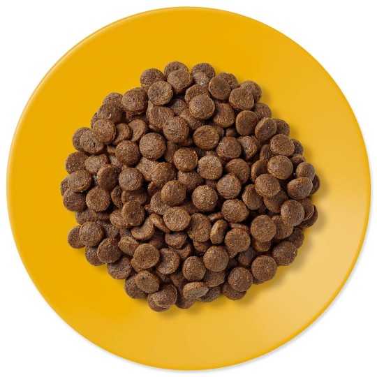 Applaws Szárazeledel Idős Macskáknak 2kg