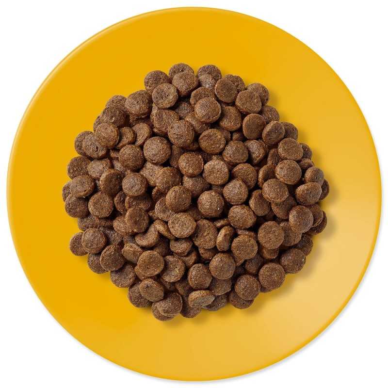 Applaws Szárazeledel Idős Macskáknak 2kg