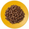 Applaws Szárazeledel Idős Macskáknak 2kg