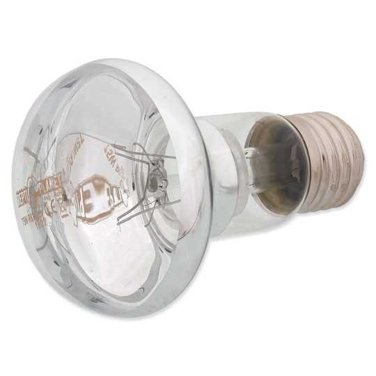 Repti Planet Daylight Basking Spot 75W izzó