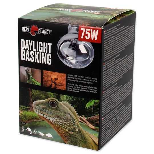 Repti Planet Daylight Basking Spot 75W izzó