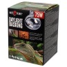 Repti Planet Daylight Basking Spot 75W izzó
