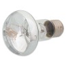 Repti Planet Daylight Basking Spot 25W izzó