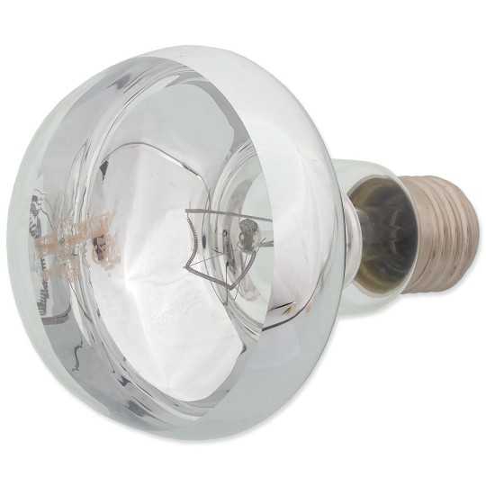 Repti Planet Daylight Basking Spot 100W izzó