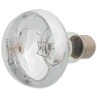 Repti Planet Daylight Basking Spot 100W izzó