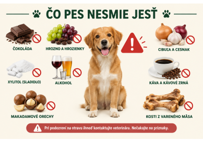 Čo nesmie jesť pes? Nebezpečné potraviny pre psov | AZPET image